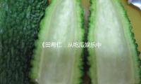 《田希仁：从吃瓜娱乐中汲取正能量，追寻梦想的勇气》