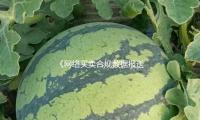 《网络买卖合规数据报送办理暂行办法》发布 — 新京报