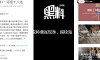 《变种章鲨现身，揭秘海洋奇观与吃瓜娱乐的奇妙结合》
