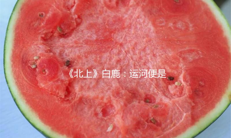 《北上》白鹿：运河便是我的家园丨人物 — 新京报