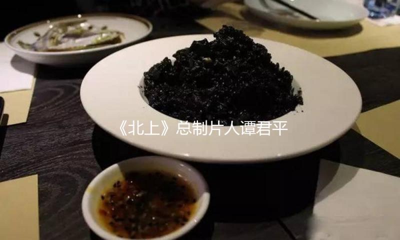 《北上》总制片人谭君平：拿出最真挚的故事，期望看的人有共识 — 新京报