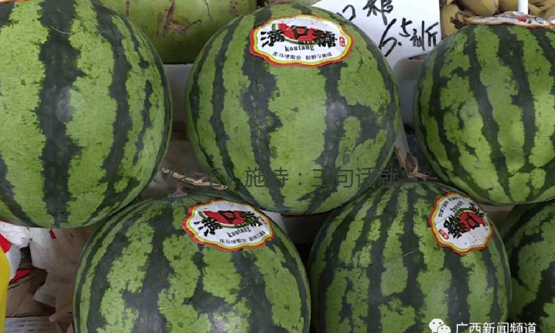 《冬至》施诗：三句话就能处理一切问题，这是喻正规划大的魅力 — 新京报