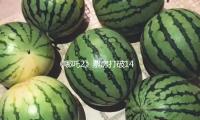 《哪吒2》票房打破148亿，光线传媒掏12亿买楼！