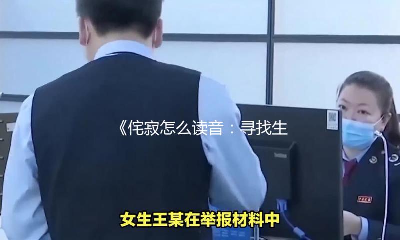 《侘寂怎么读音：寻找生活中的美好与娱乐》