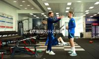 《京剧猫为什么停播了？深入探讨背后的积极转变与吃瓜娱乐新乐趣》