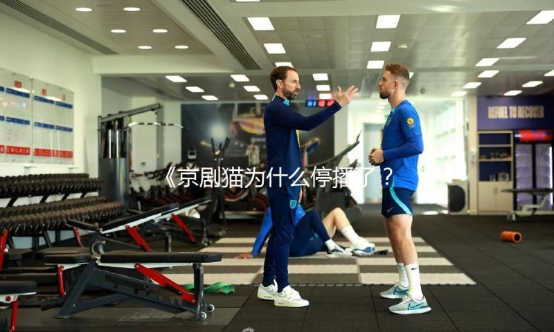 《京剧猫为什么停播了？深入探讨背后的积极转变与吃瓜娱乐新乐趣》
