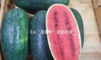 《从“圣娼女”到励志传奇：揭秘娱乐圈背后的正能量故事》