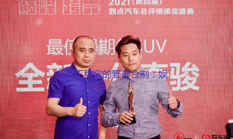 《不稳定的野兽合剂：娱乐圈中的积极力量与勇气故事》