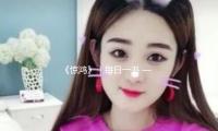 《惊鸿》｜每日一书 — 新京报