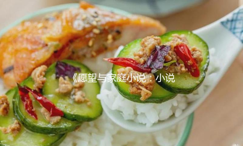 《愿望与家庭小说：小说的政治史》