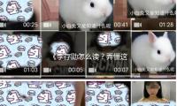《李存勖怎么读？弄懂这个历史人物，了解他背后的传奇故事与娱乐趣闻》