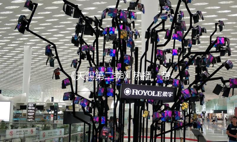 《天赐第二季》热播，带你畅享娱乐盛宴，收获快乐与梦想！
