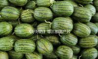 《好好的》等三部国产片入围第十五届北影节“天坛奖”主比赛单元 — 新京报