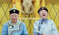 《寒松赋》带你领略生命的坚韧与美好，娱乐圈深度揭秘！