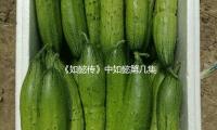 《如懿传》中如懿第几集当皇后？一场吃瓜娱乐的职场逆袭之路！