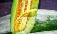 《小学生就该懂的日子中的经济学》｜每日一书 — 新京报