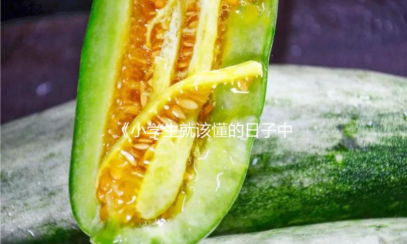《小学生就该懂的日子中的经济学》｜每日一书 — 新京报