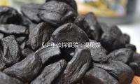 《少年侦探银狼：揭秘娱乐圈的正能量故事，引发吃瓜热潮》