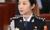 《巨石强森是什么人种？揭秘这位巨星背后的奋斗与成功故事》