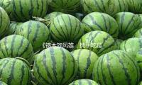 《镝木旋风雄：携手吃瓜娱乐，传递正能量与快乐！》