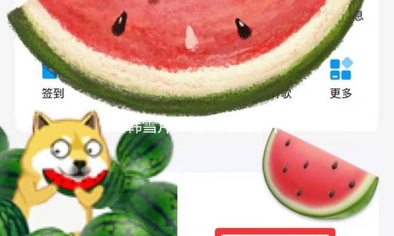《韩雪芹：在吃瓜娱乐中传播正能量，引领积极生活方式》