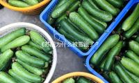 《苏醒为什么被雪藏了？探讨娱乐圈的坚持与勇气》