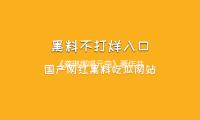 《龚琳娜唱元曲》著作共享会在国家大剧院举行，新书本年发行 — 新京报