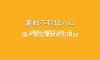 《黄雀》编剧王小枪：在反扒体裁中寻觅人道的真挚丨专访 — 新京报