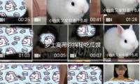 “罗士高带你探秘吃瓜娱乐，欢乐时光尽在轻松分享！”