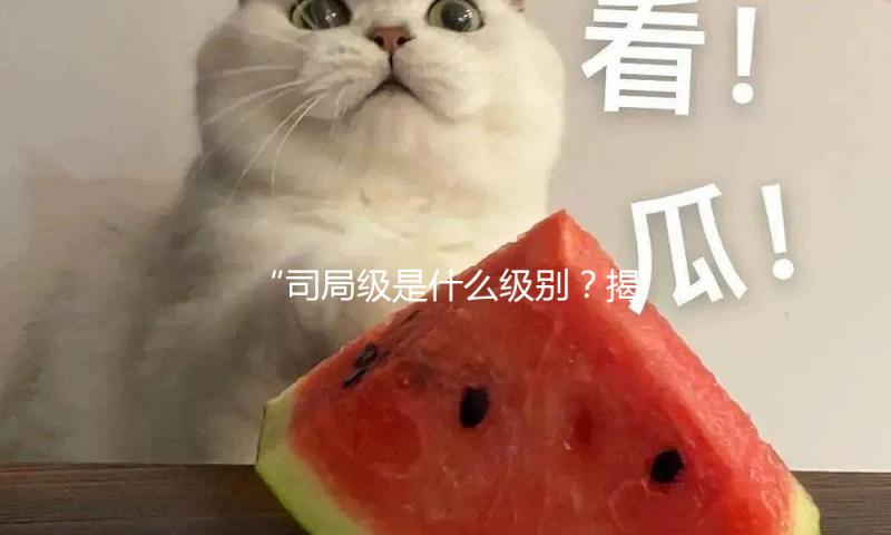 “司局级是什么级别？揭秘吃瓜娱乐圈中的职级奥秘”