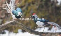 “刘德华多少岁？揭示偶像的青春秘诀与积极生活态度”
