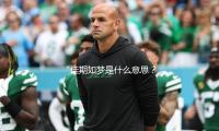 “佳期如梦是什么意思？从明星趣闻看生活的美好与希望”