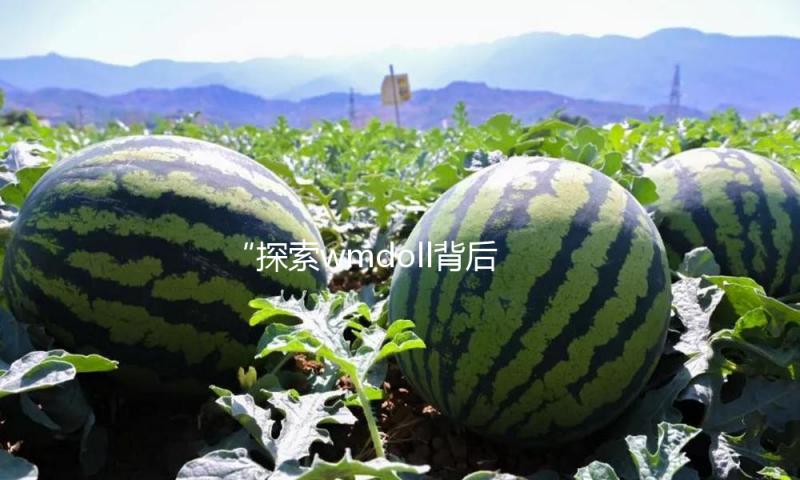 “探索wmdoll背后的故事，分享吃瓜娱乐中的快乐与正能量”