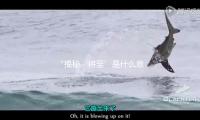 “揭秘‘将至’是什么意思：娱乐圈新动态带你领略更多精彩”