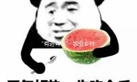 “有进有出” 农业乡村部加速推进农作物种类更新换代
