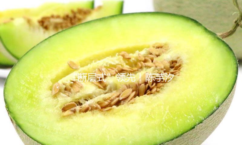 “断层式”领先！陈芋汐、全红婵包揽跳水世界杯女子10米台冠亚军