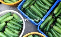 “法图麦是什么意思？揭秘娱乐圈吃瓜背后的正能量故事”