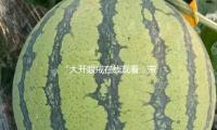 “大开眼戒在线观看：带你领略娱乐圈的正能量与精彩瞬间”