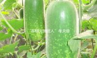 “多明戈接班人”考夫曼来沪演绎德语艺术歌曲，中国大陆仅有一站