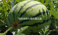 “胡宏俊助力娱乐圈正能量，吃瓜时代的积极榜样”