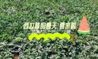 “英国人从不哭泣”？是什么改变了英国人对眼泪的观点 — 新京报