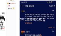 “走进”诗词现场，在《因风起》里感触魏晋美学