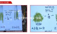 “马丁的恋情揭秘：甜蜜瞬间与幸福分享，吃瓜娱乐带你感受爱情的力量！”