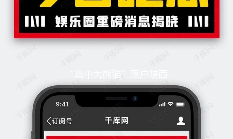 “鸟中大熊猫”落户陕西榆林