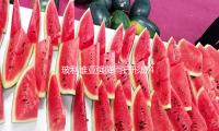 玻利维亚强降雨已形成49人逝世 超32万户家庭受灾
