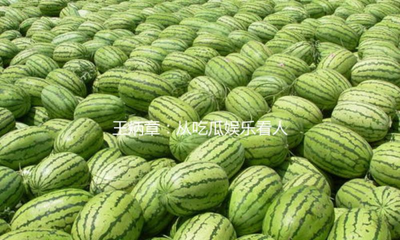 王炳章：从吃瓜娱乐看人生逆袭的正能量故事