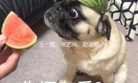 王一博、张艺兴、赵丽颖，已有15部电影清明定档