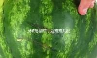 灵敏易翻车，为难难共识，女人营销还能怎么做？