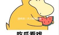 猎奇湃｜天才维斯塔潘