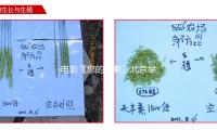 电影《您的声响》北京举行观影活动，艺人林永健与片中人物有共识 — 新京报